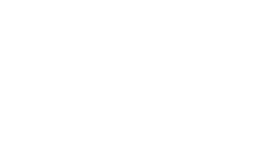 The Digital Sauce Logo WHITE