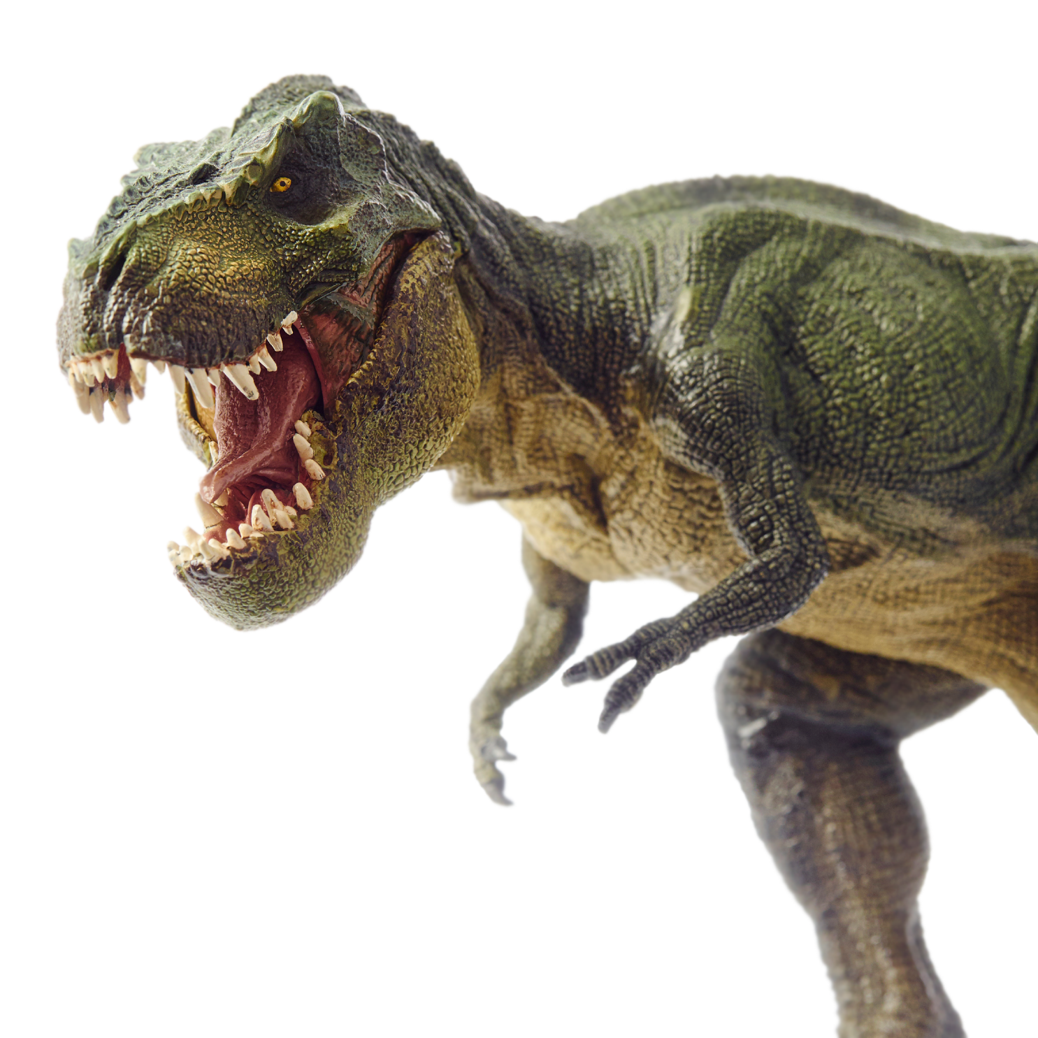 Toy-Dinosaur-2