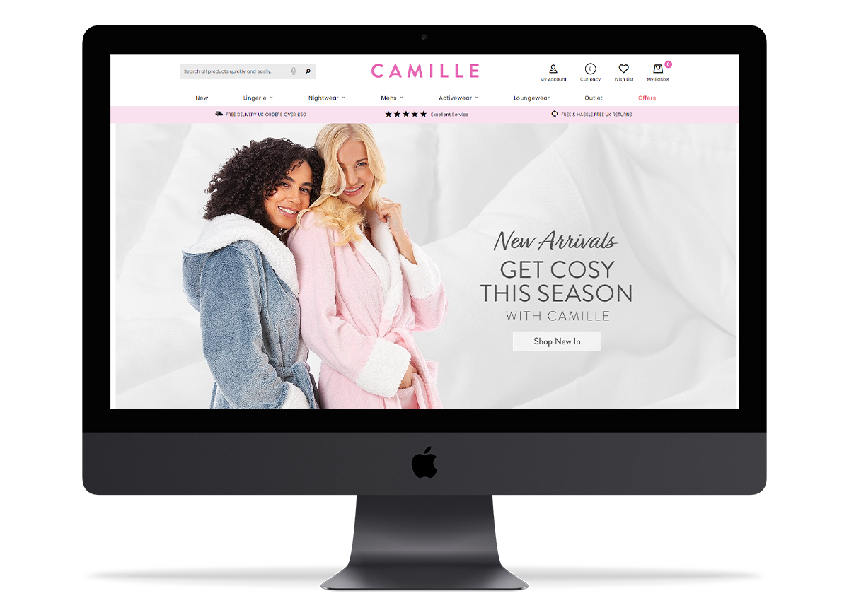 Desktop screen with Camille's website