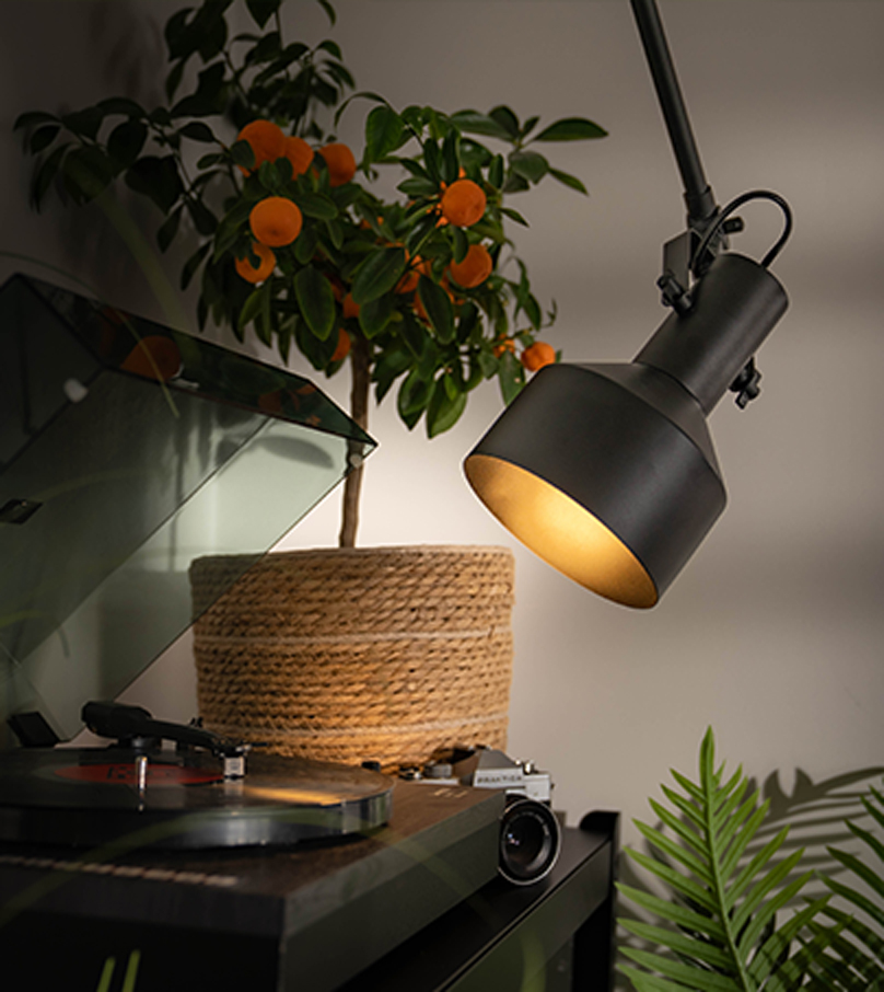 How Dusk Lighting brightened performance with smarter email automation