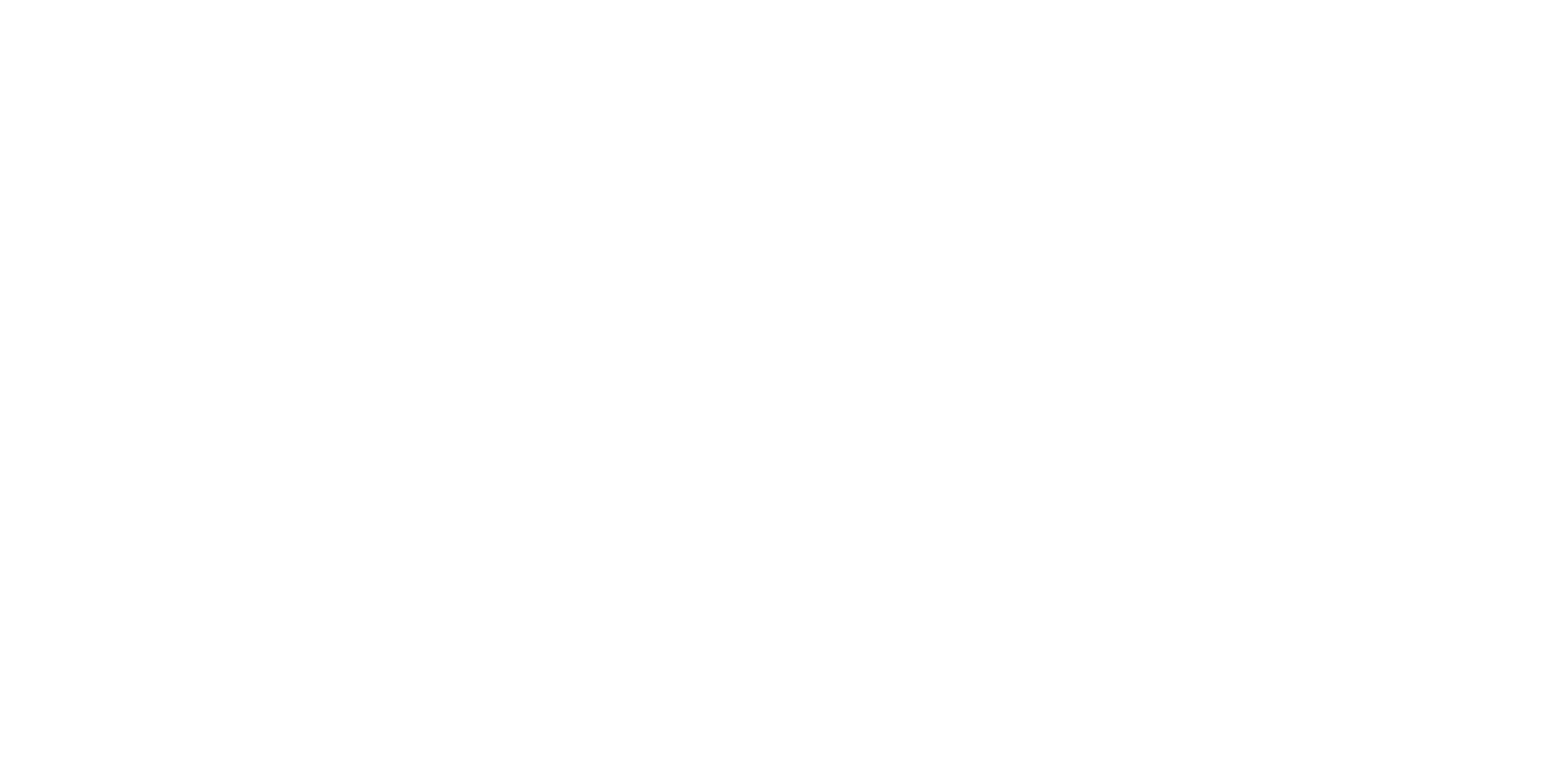 Logo 11