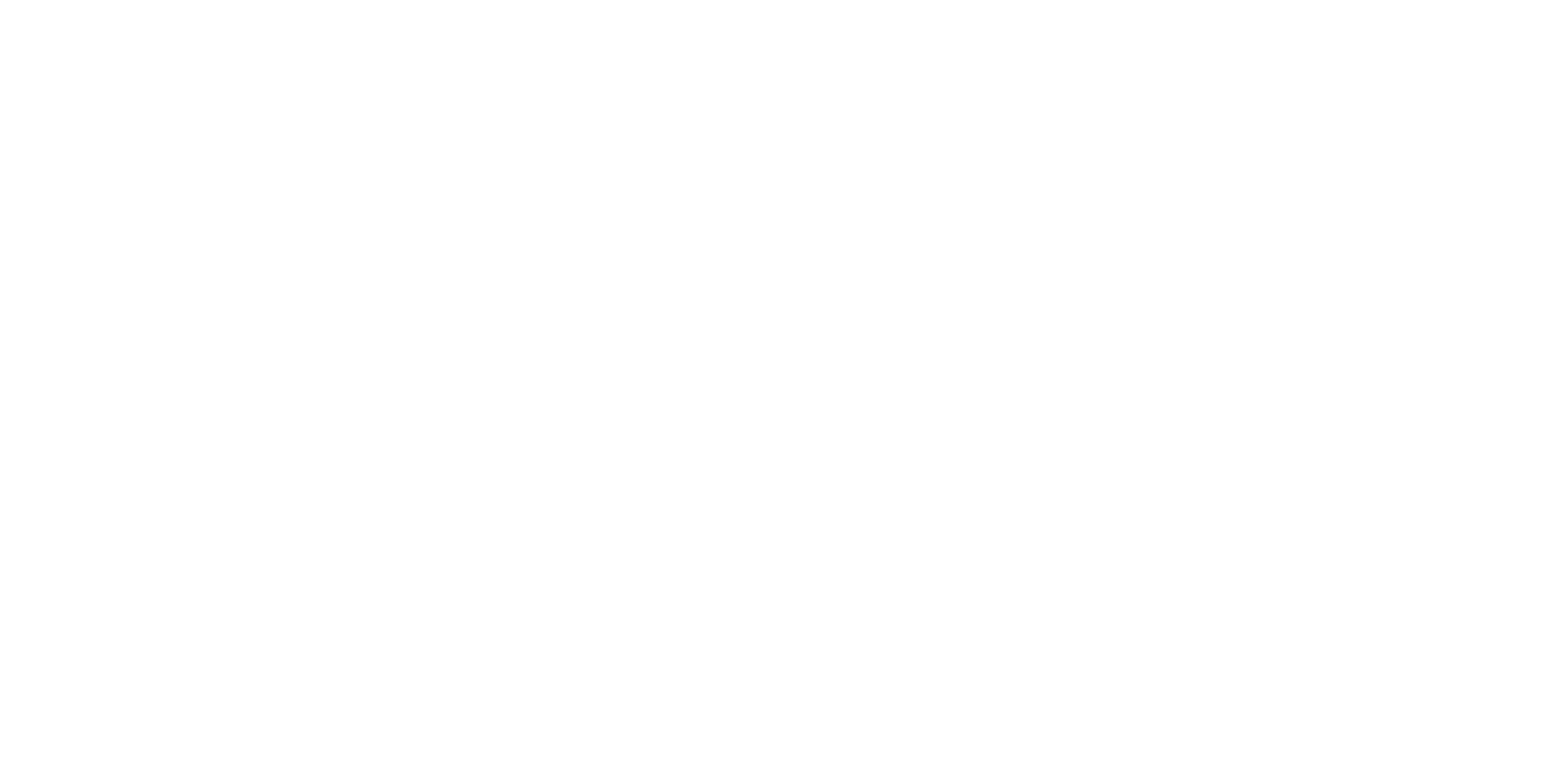 Logo 13